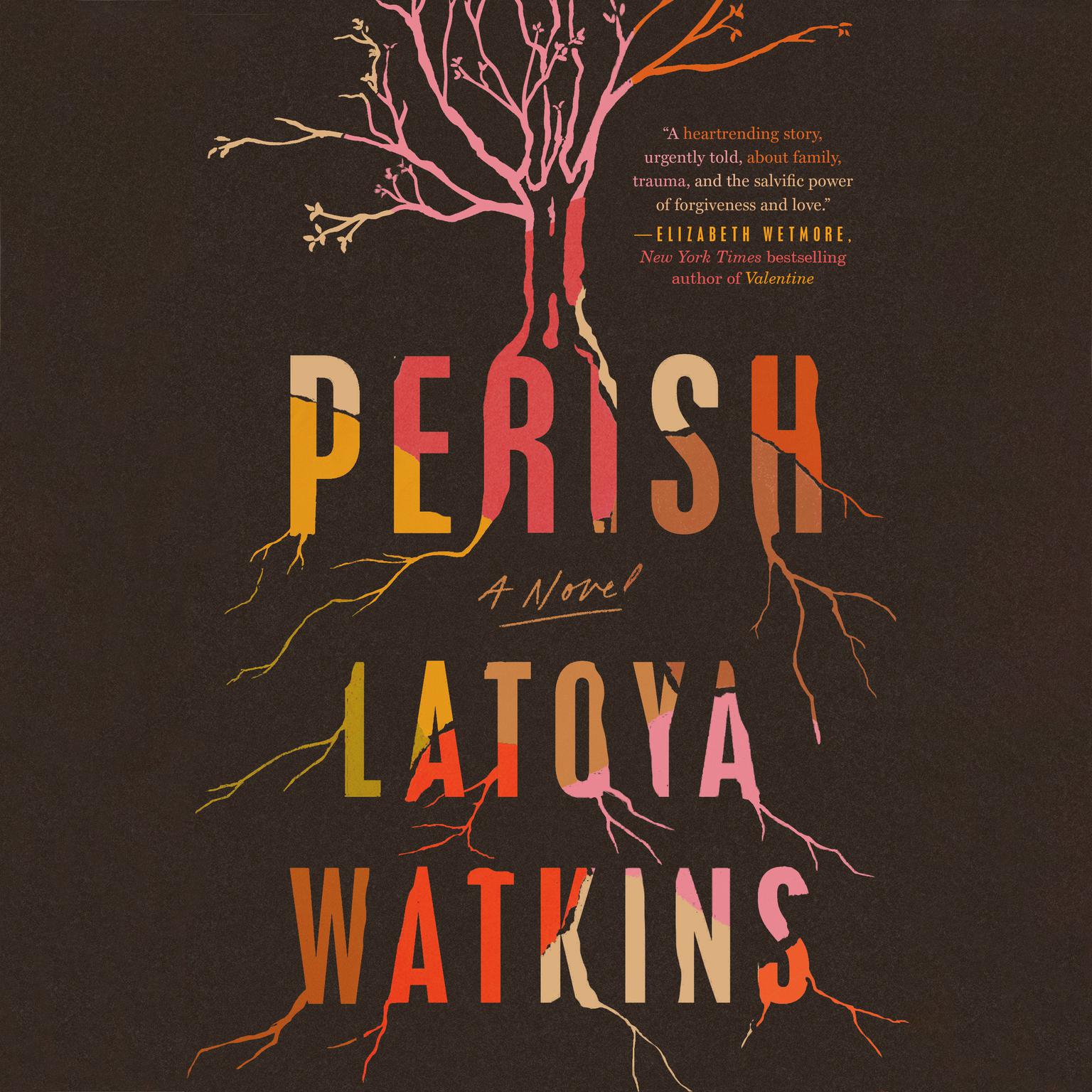 Perish: A Novel Audiobook, by LaToya Watkins