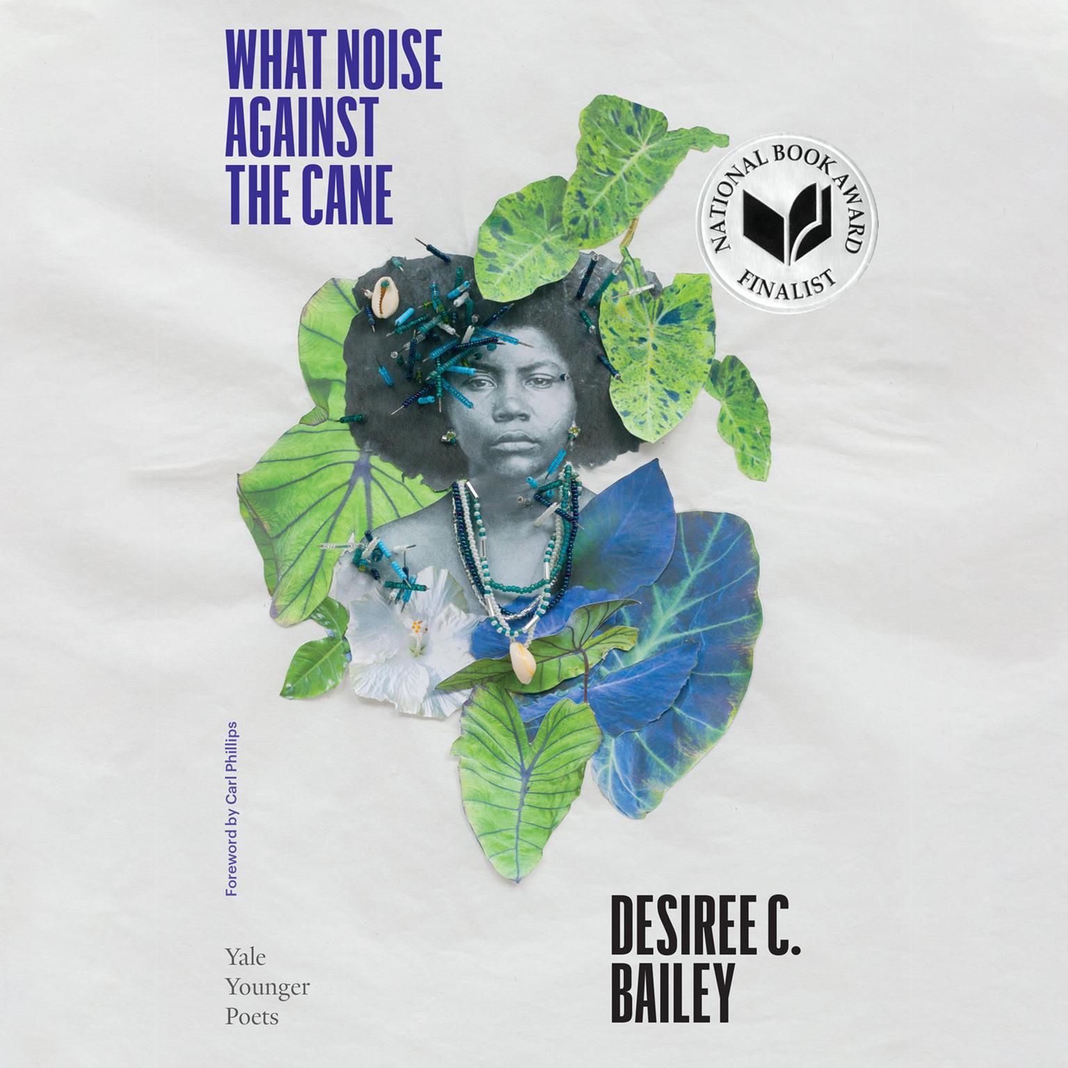What Noise Against the Cane Audiobook, by Desiree C. Bailey
