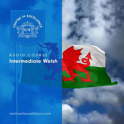 Intermediate Welsh Audiobook, by Centre of Excellence