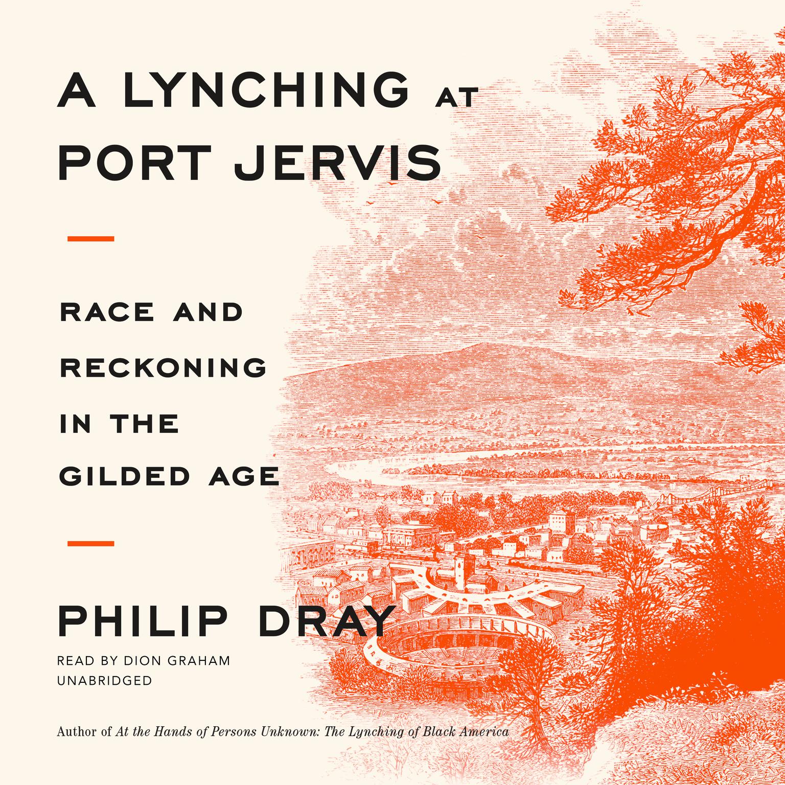 A Lynching at Port Jervis: Race and Reckoning in the Gilded Age  Audiobook, by Philip Dray