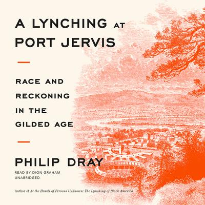A Lynching at Port Jervis: Race and Reckoning in the Gilded Age  Audiobook, by Philip Dray