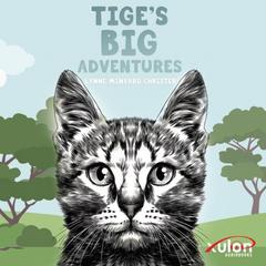 Tiges Big Adventures Audiobook, by Lynne Minyard-Christer