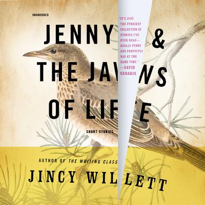 Jenny and the Jaws of Life: Short Stories Audiobook, by Jincy Willett