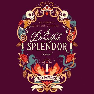 A Dreadful Splendor: A Novel Audiobook, by B.R. Myers