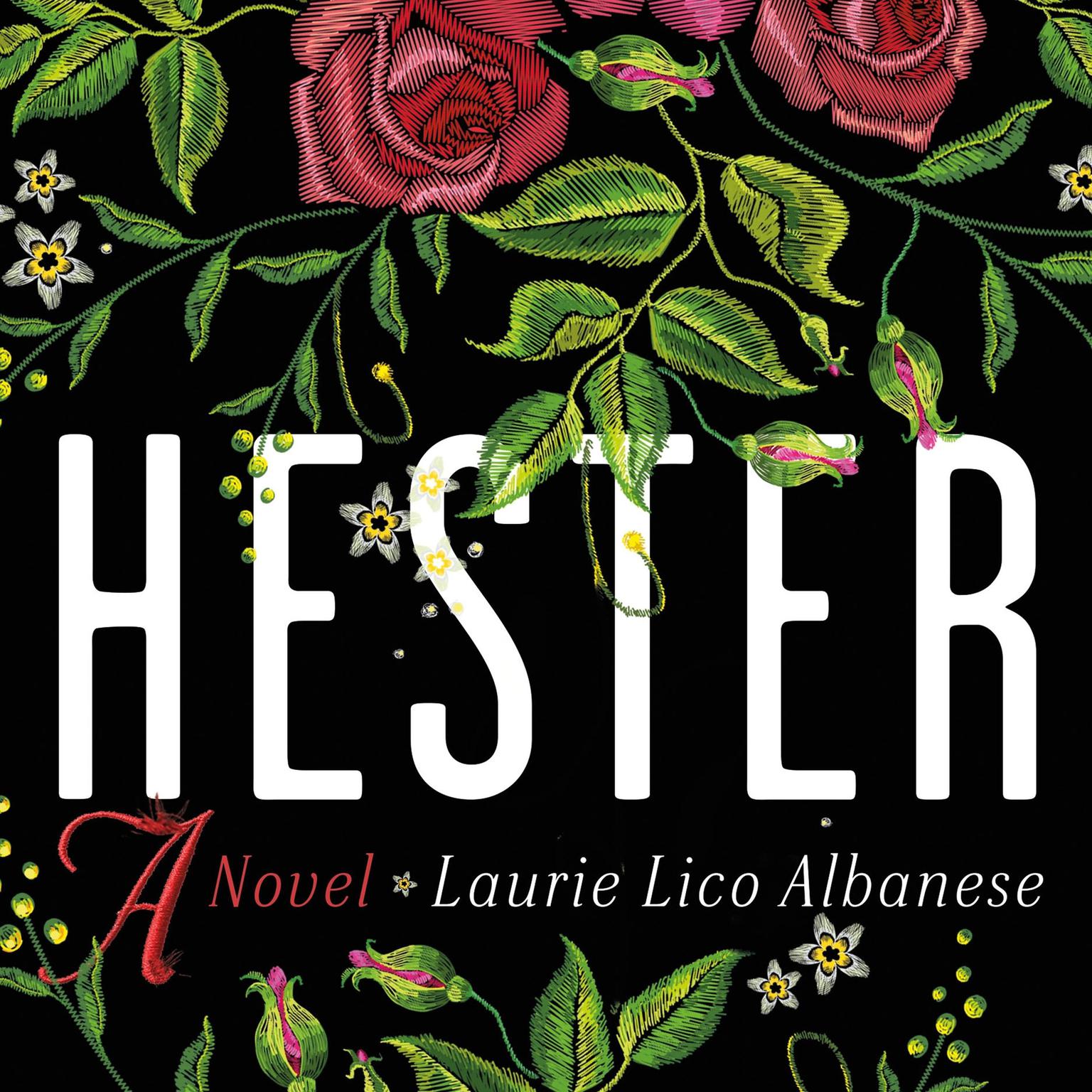 Hester: A Novel Audiobook, by Laurie Lico Albanese