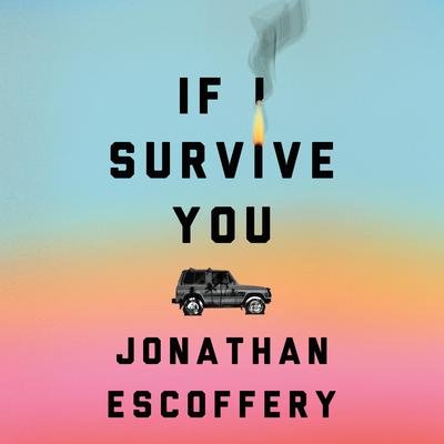If I Survive You Audiobook, by 