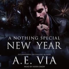 A Nothing Special New Year Audiobook, by A.E. Via