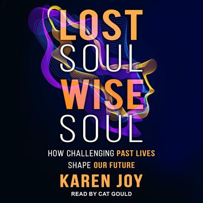 Lost Soul, Wise Soul: How Challenging Past Lives Shape Our Future Audiobook, by Karen Joy