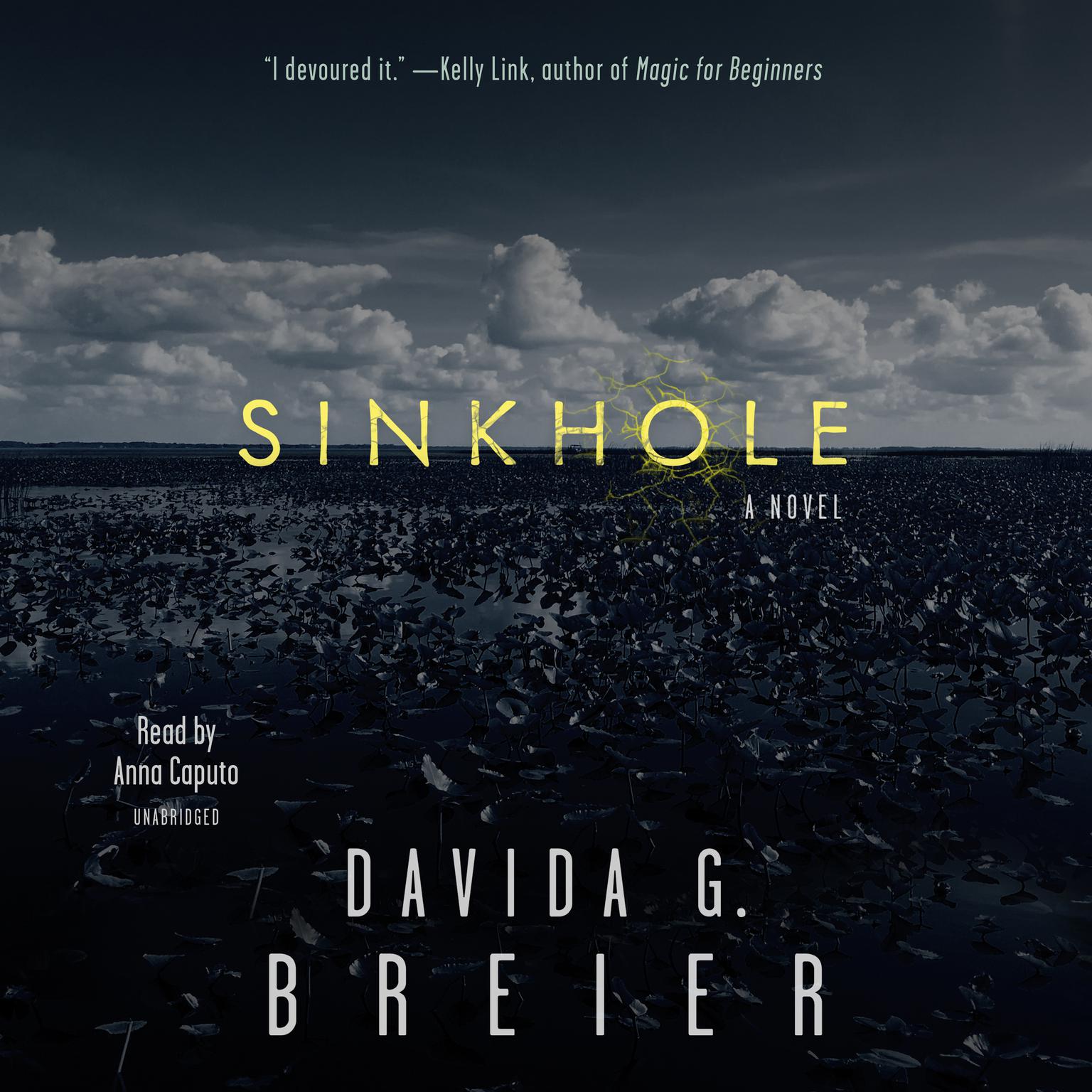 Sinkhole: A Novel Audiobook, by Davida G. Breier