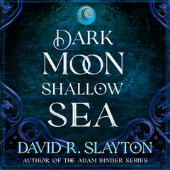 Dark Moon, Shallow Sea Audiobook, by David R. Slayton