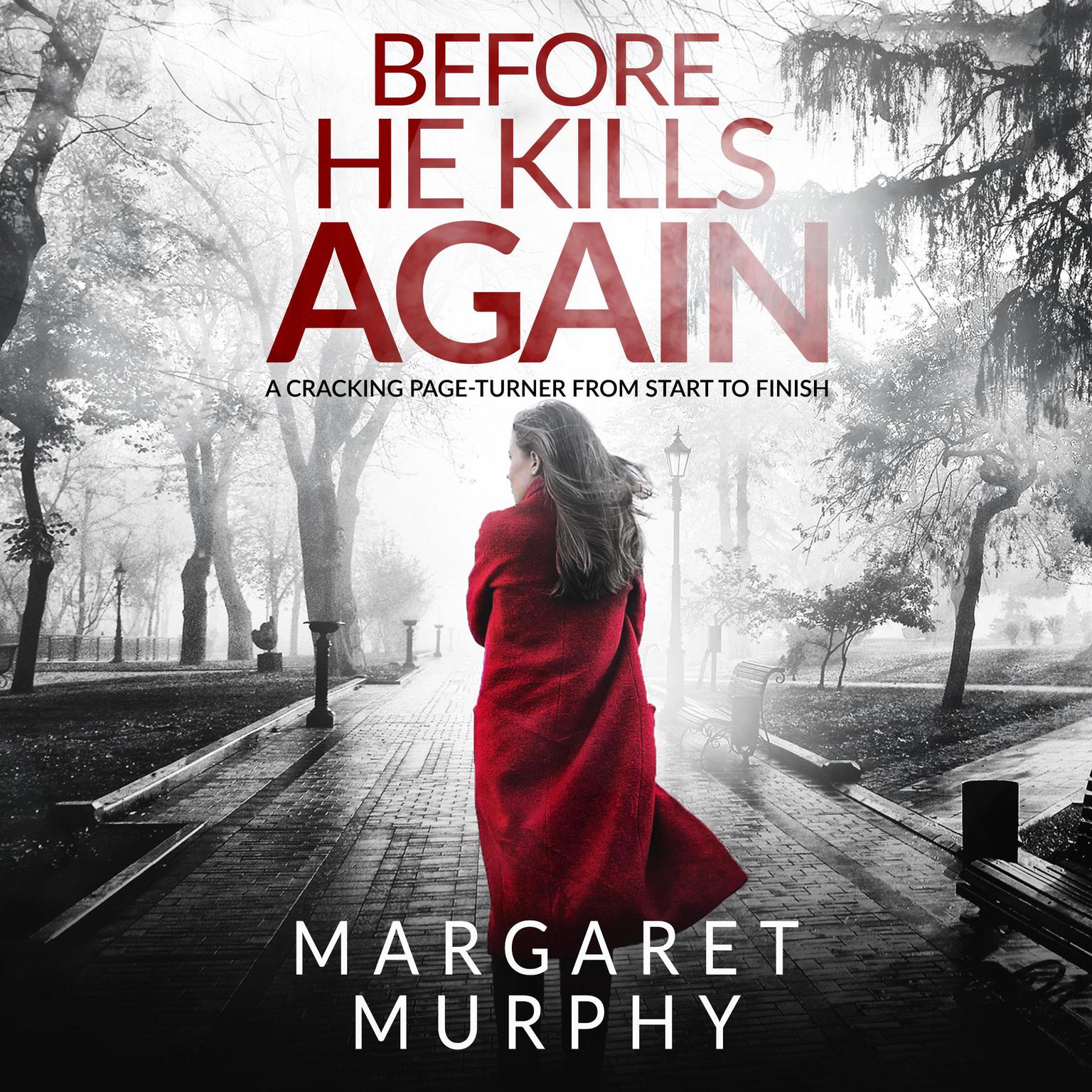 Before He Kills Again Audiobook, by Margaret Murphy