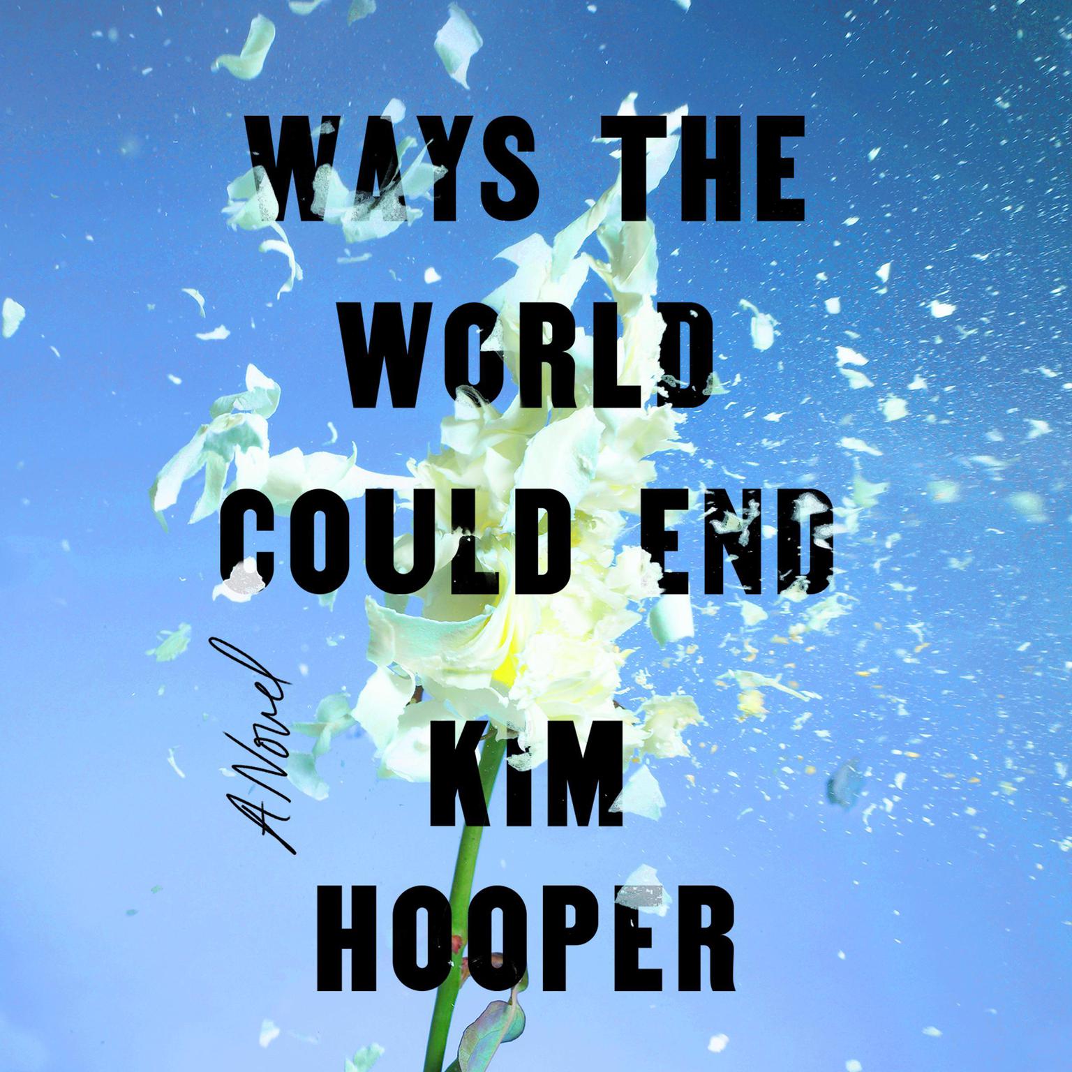 Ways the World Could End Audiobook, by Kim Hooper