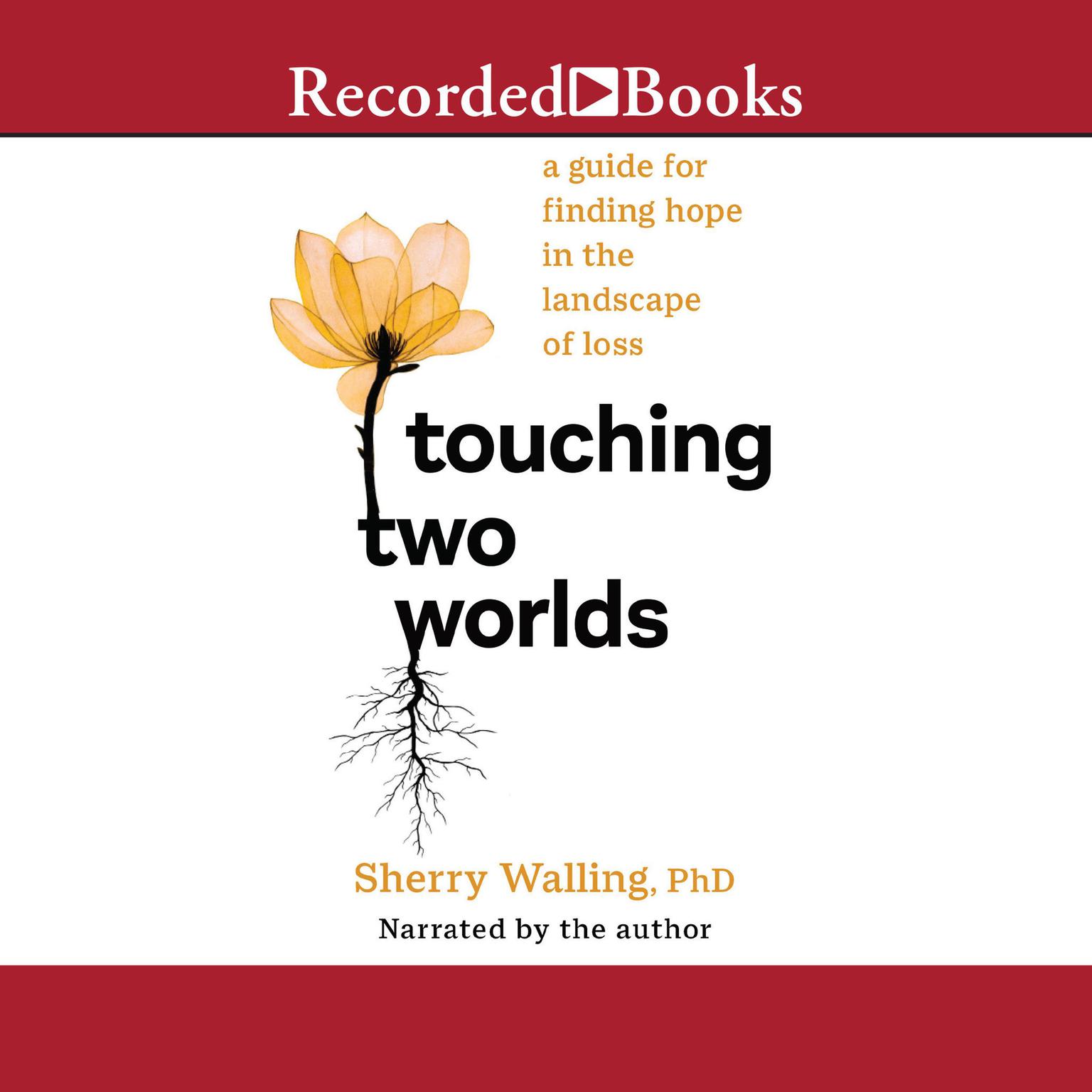 Touching Two Worlds: A Guide for Finding Hope in the Landscape of Loss Audiobook, by Sherry Walling