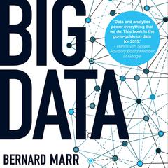 Big Data: Using SMART Big Data, Analytics and Metrics To Make Better Decisions and Improve Performance Audiobook, by Bernard Marr