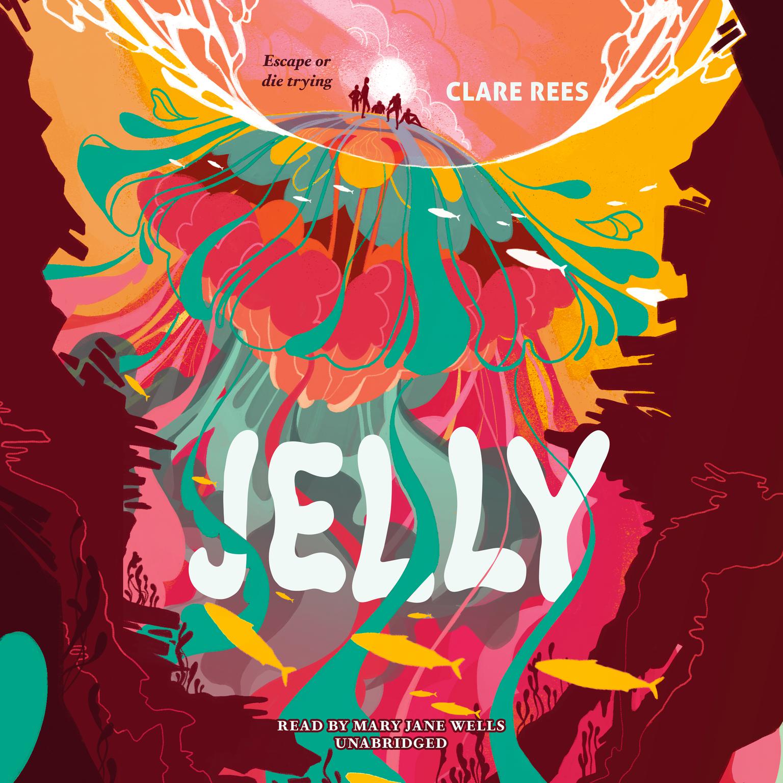 Jelly Audiobook, by Clare Rees