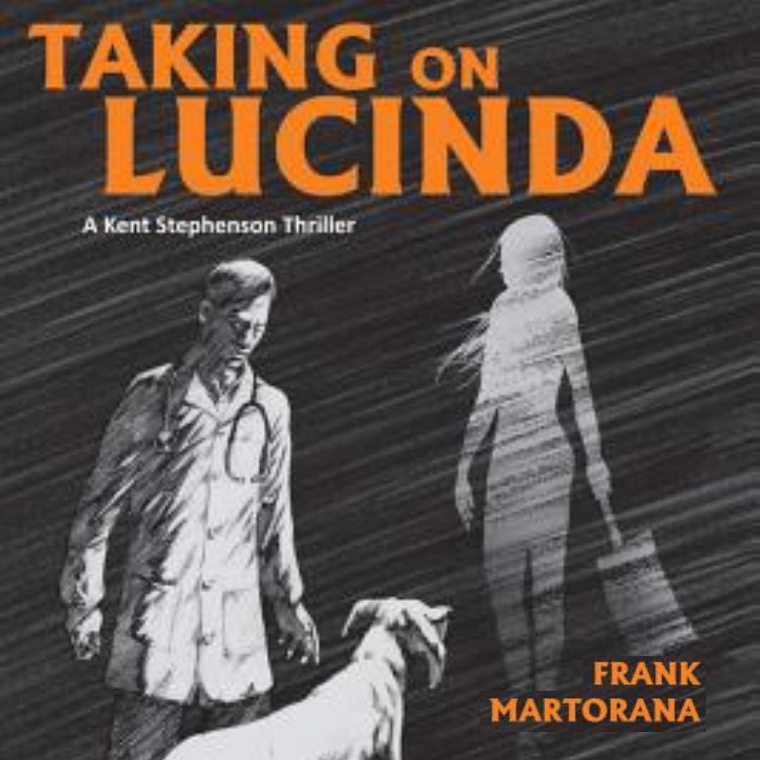 Taking on Lucinda Audiobook, by Frank Martorana