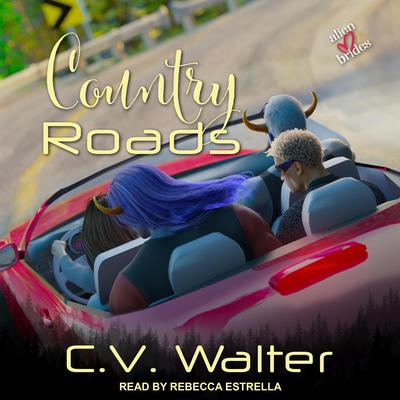 Country Roads Audiobook, by C.V. Walter