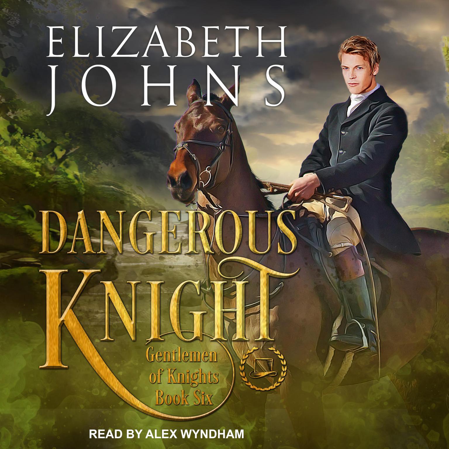 Dangerous Knight Audiobook, by Elizabeth Johns