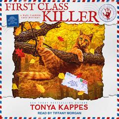 First Class Killer Audiobook, by Tonya Kappes