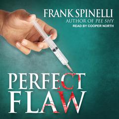Perfect Flaw Audiobook, by Frank Spinelli