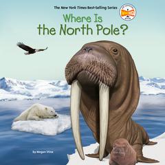 Where Is the North Pole? Audiobook, by Megan Stine