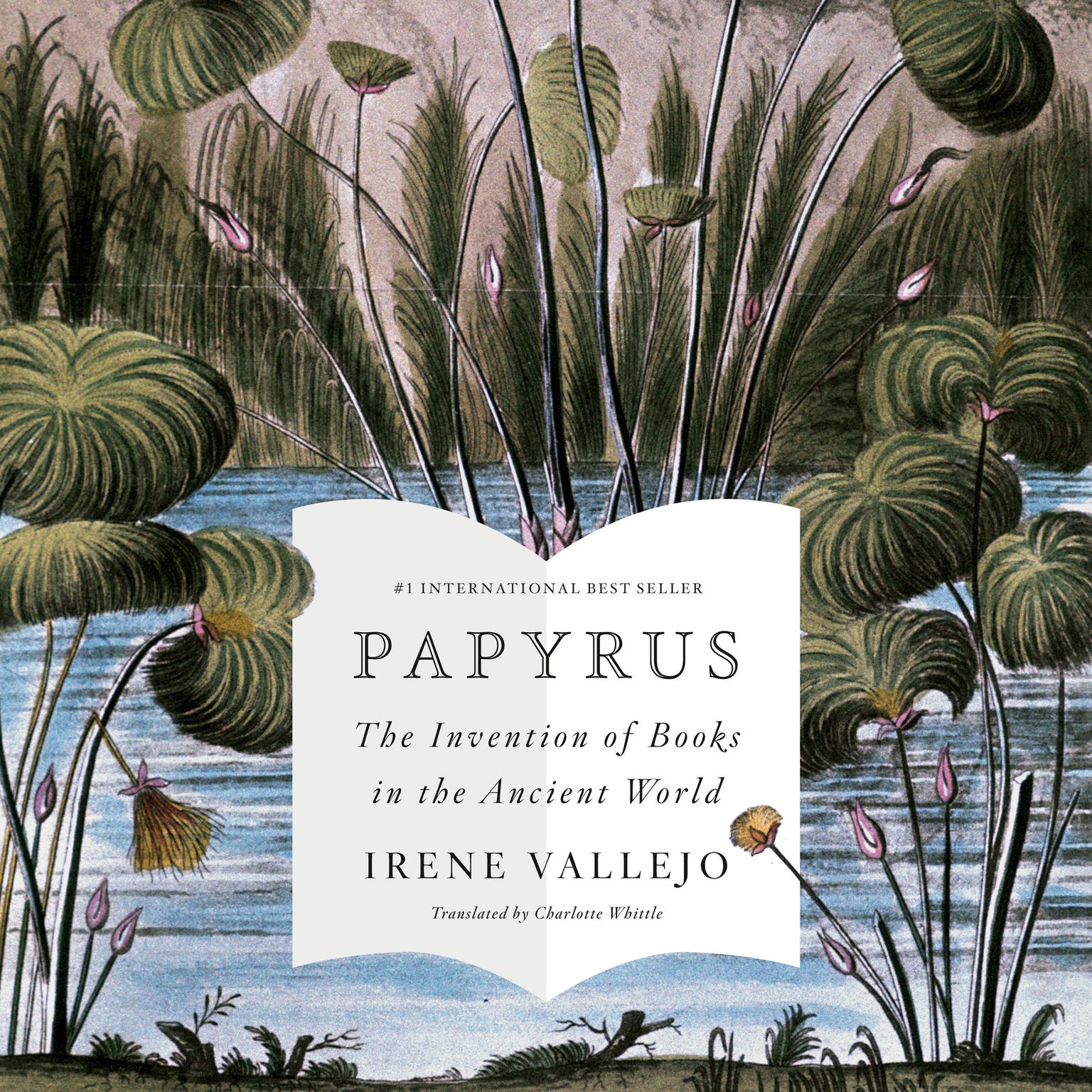 Papyrus: The Invention of Books in the Ancient World Audiobook