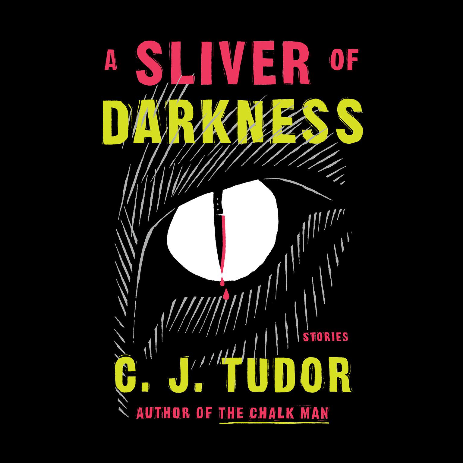A Sliver of Darkness: Stories Audiobook, by C. J. Tudor
