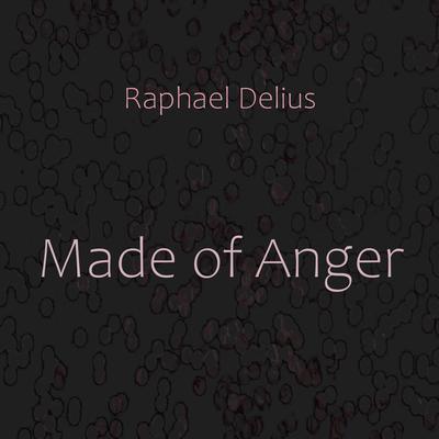 Made of Anger Audiobook, by Raphael Delius