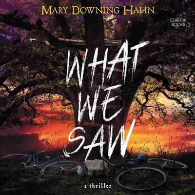 What We Saw: A Thriller Audiobook, by Mary Downing Hahn
