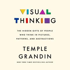 Visual Thinking: The Hidden Gifts of People Who Think in Pictures, Patterns, and Abstractions Audiobook, by 