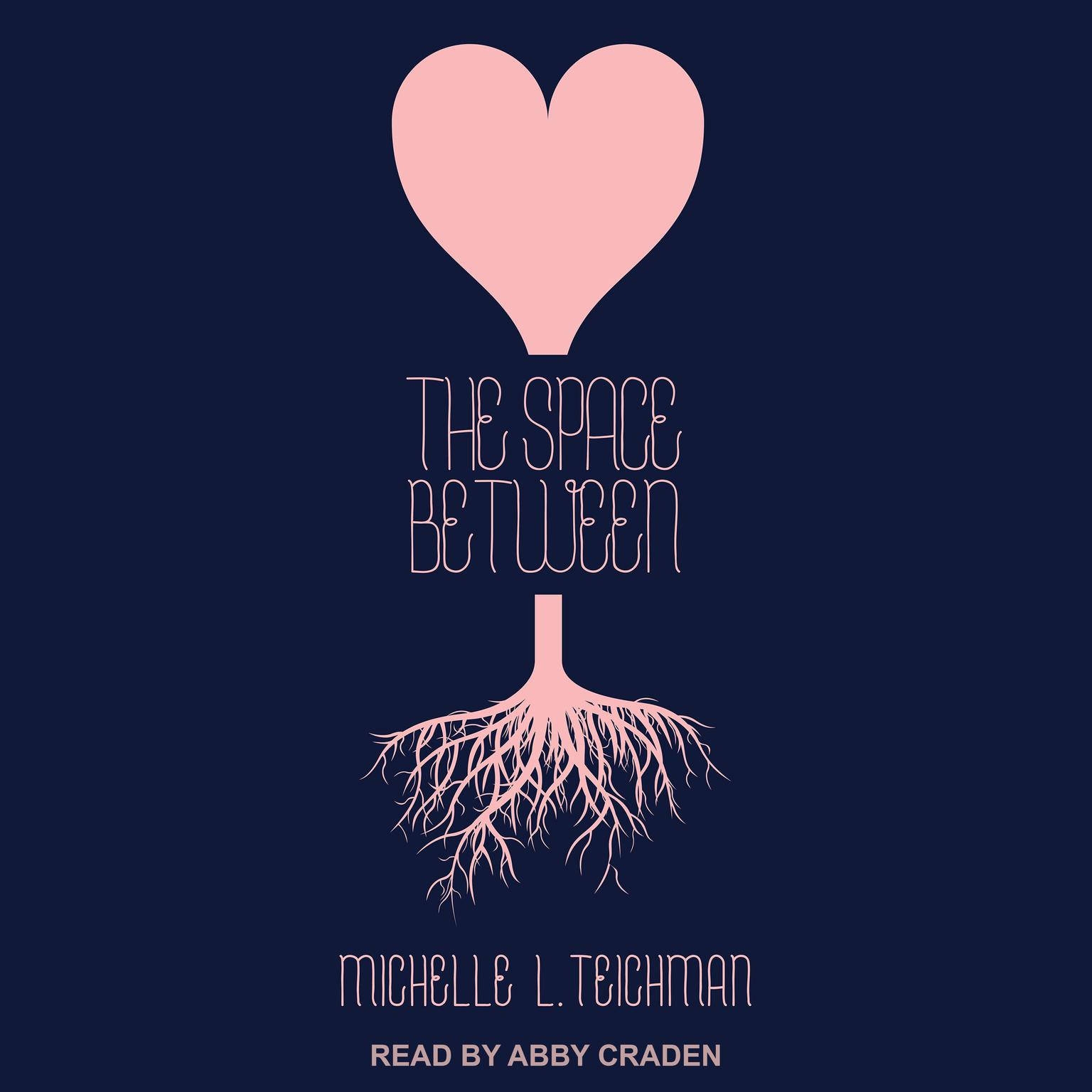 The Space Between Audiobook, by Michelle L. Teichman