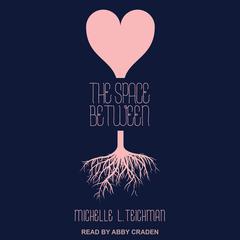 The Space Between Audiobook, by Michelle L. Teichman
