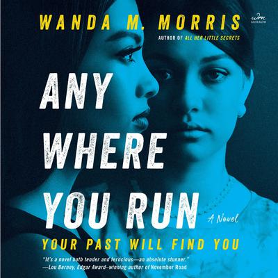 Anywhere You Run: A Novel Audiobook, by Wanda M. Morris