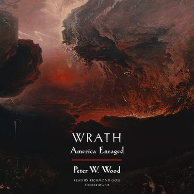 Wrath: America Enraged Audiobook, by Peter W. Wood