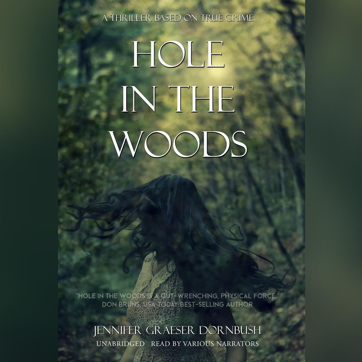 Hole in the Woods Audiobook, by Jennifer Graeser Dornbush