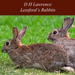 Lessfords Rabbits Audiobook, by D. H. Lawrence