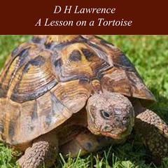 A Lesson on a Tortoise Audiobook, by D. H. Lawrence