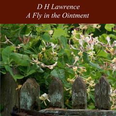A Fly in the Ointment Audiobook, by D. H. Lawrence