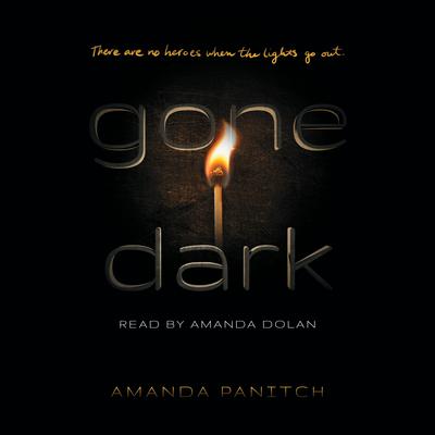 Gone Dark Audiobook, by Amanda Panitch