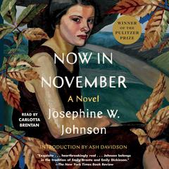 Now in November Audiobook, by Josephine Johnson