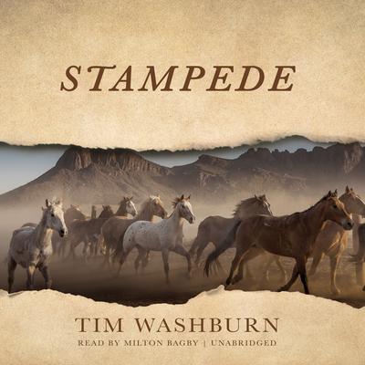 Stampede Audiobook, by Tim Washburn