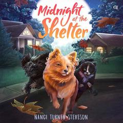 Midnight at the Shelter Audiobook, by Nanci Turner Steveson