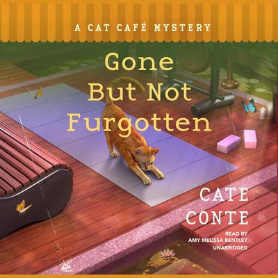 Gone but Not Furgotten Audiobook, by Cate Conte