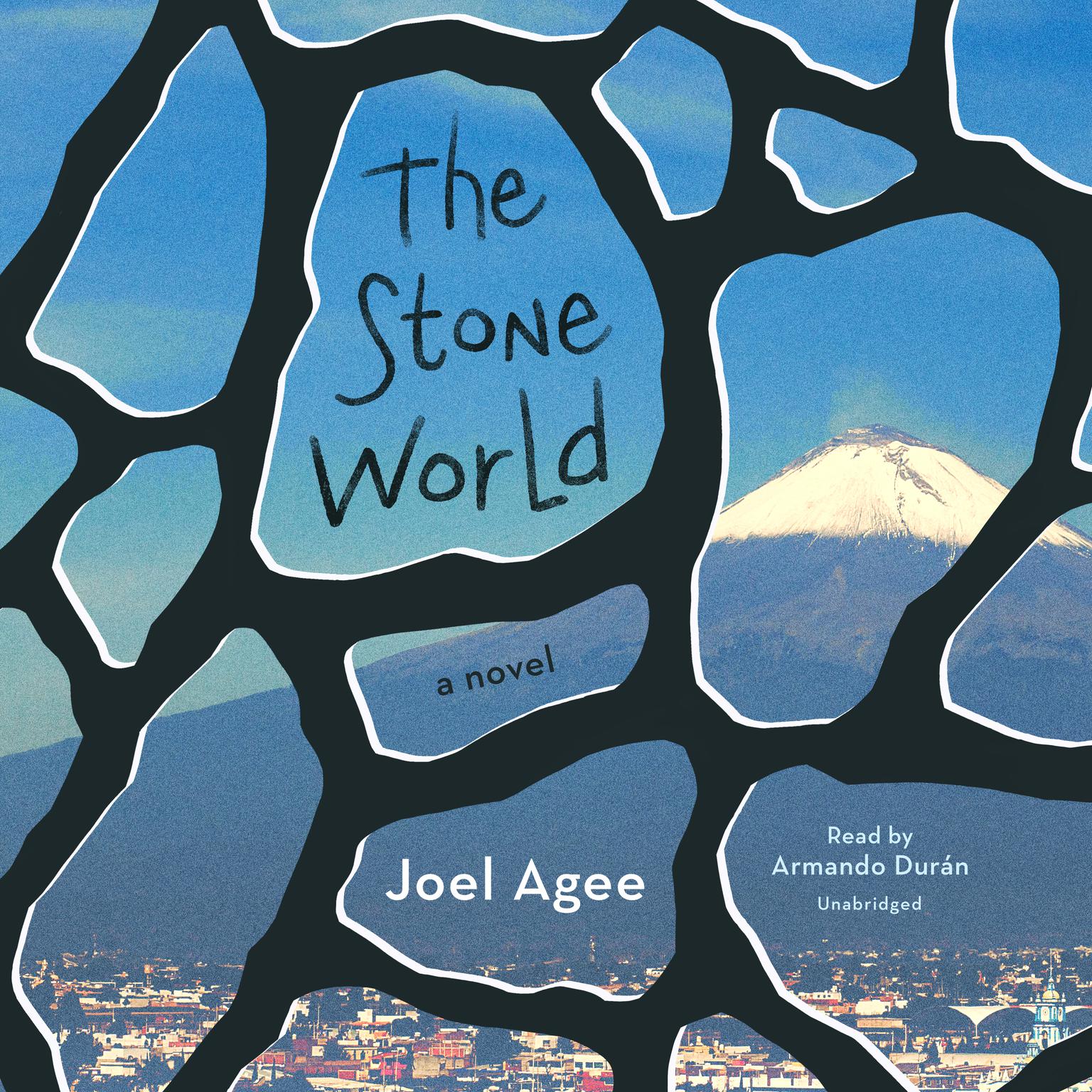 The Stone World: A Novel Audiobook, by Joel Agee