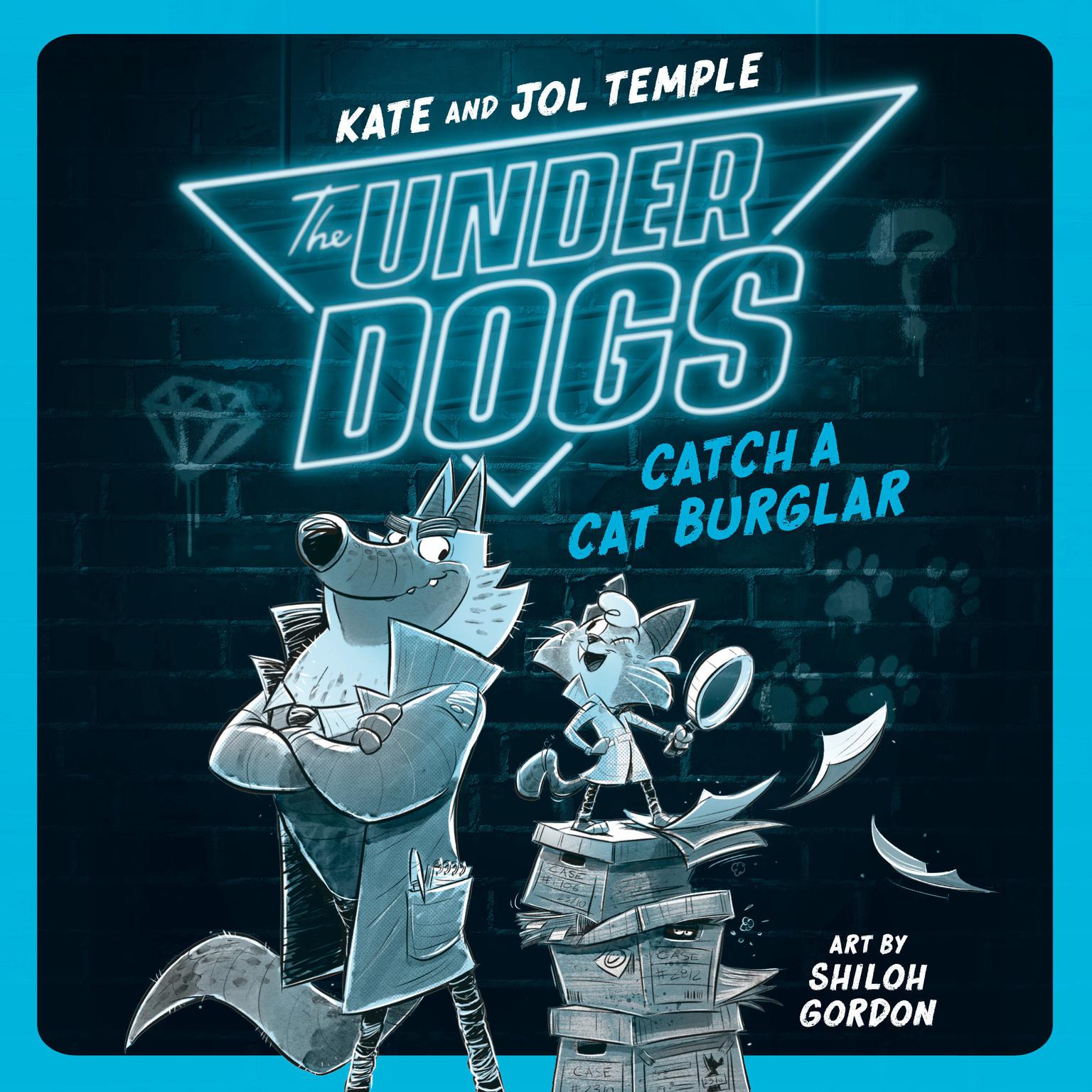 The Underdogs Catch a Cat Burglar Audiobook, by Jol Temple