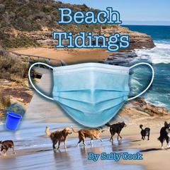 Beach Tidings Audiobook, by Sally Cook