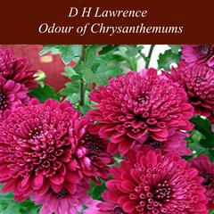 Odour of Chrysanthemums Audiobook, by D. H. Lawrence