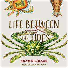 Life Between the Tides Audiobook, by Adam Nicolson