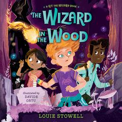 The Wizard in the Wood Audiobook, by Louie Stowell