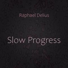 Slow Progress Audiobook, by Raphael Delius